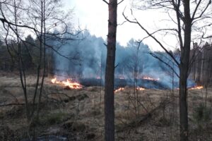 15.03.2022. Świętokrzyskie. Pożary traw i nieużytków / OSP Samsonów