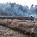 15.03.2022. Świętokrzyskie. Pożary traw i nieużytków / OSP Samsonów