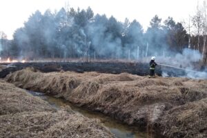 15.03.2022. Świętokrzyskie. Pożary traw i nieużytków / OSP Samsonów