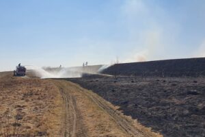 15.03.2022. Świętokrzyskie. Pożary traw i nieużytków / OSP Tursko Wielkie