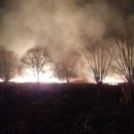 15.03.2022. Świętokrzyskie. Pożary traw i nieużytków / OSP Tursko Wielkie