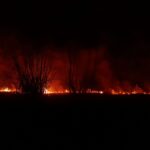 15.03.2022. Świętokrzyskie. Pożary traw i nieużytków / OSP Tursko Wielkie