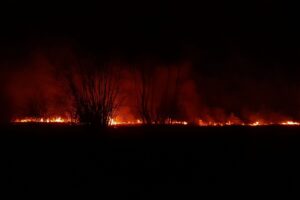 15.03.2022. Świętokrzyskie. Pożary traw i nieużytków / OSP Tursko Wielkie