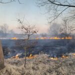 15.03.2022. Świętokrzyskie. Pożary traw i nieużytków / OSP Tursko Wielkie