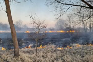 15.03.2022. Świętokrzyskie. Pożary traw i nieużytków / OSP Tursko Wielkie