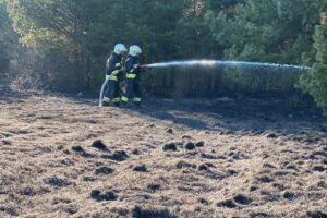 15.03.2022. Świętokrzyskie. Pożary traw i nieużytków / OSP Zagnańsk