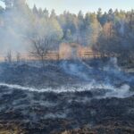 15.03.2022. Świętokrzyskie. Pożary traw i nieużytków / OSP Zagnańsk