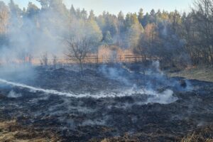 15.03.2022. Świętokrzyskie. Pożary traw i nieużytków / OSP Zagnańsk