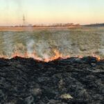 15.03.2022. Świętokrzyskie. Pożary traw i nieużytków / OSP Złota