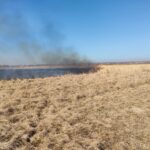 15.03.2022. Świętokrzyskie. Pożary traw i nieużytków / OSP Złota