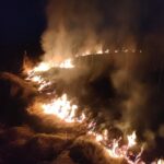 15.03.2022. Świętokrzyskie. Pożary traw i nieużytków / OSP Złota