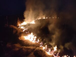 15.03.2022. Świętokrzyskie. Pożary traw i nieużytków / OSP Złota