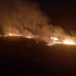 15.03.2022. Świętokrzyskie. Pożary traw i nieużytków / OSP Złota