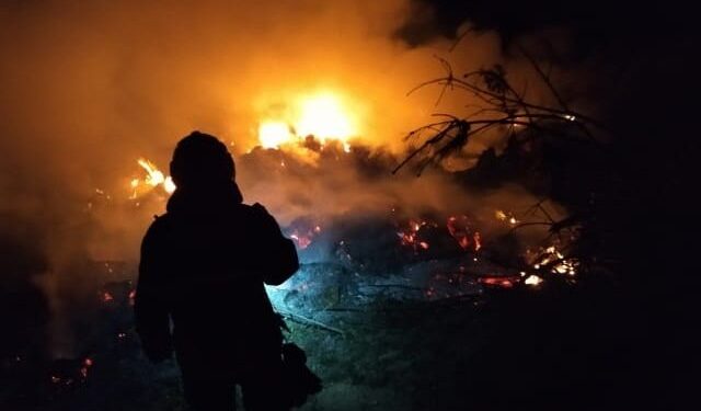 18.03.2022. Świętokrzyskie. Wypalanie traw. Strażacy w akcji / OSP Wiśniowa