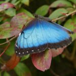 Kostaryka / Danuta Rasała