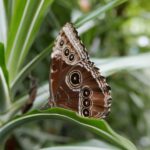 Kostaryka / Danuta Rasała