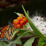 Kostaryka / Danuta Rasała