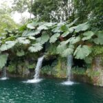 Kostaryka / Danuta Rasała