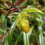 Kostaryka / Danuta Rasała