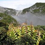 Kostaryka / Danuta Rasała