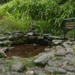 Kostaryka / Danuta Rasała