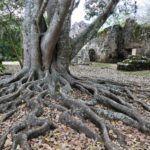 Kostaryka / Danuta Rasała