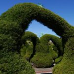 Kostaryka / Danuta Rasała