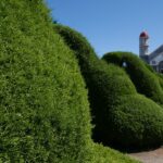 Kostaryka / Danuta Rasała