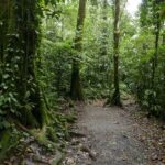 Kostaryka / Danuta Rasała