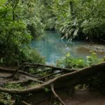 Kostaryka / Danuta Rasała