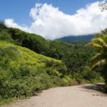 19.03.2022. Muzyczne podróże. Kostaryka / Danuta Rusała