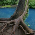 Kostaryka / Danuta Rasała