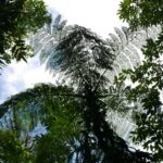 19.03.2022. Muzyczne podróże. Kostaryka / Danuta Rusała