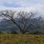 Kostaryka / Danuta Rasała