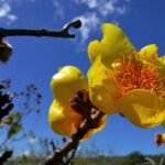 Kostaryka / Danuta Rasała