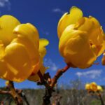 Kostaryka / Danuta Rasała