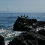 Kostaryka / Danuta Rasała