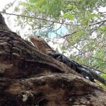 19.03.2022. Muzyczne podróże. Kostaryka / Danuta Rusała