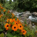 19.03.2022. Muzyczne podróże. Kostaryka / Danuta Rusała