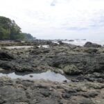 19.03.2022. Muzyczne podróże. Kostaryka / Danuta Rusała