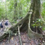 19.03.2022. Muzyczne podróże. Kostaryka / Danuta Rusała