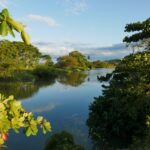 19.03.2022. Muzyczne podróże. Kostaryka / Danuta Rusała