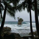 19.03.2022. Muzyczne podróże. Kostaryka / Danuta Rusała