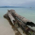 19.03.2022. Muzyczne podróże. Kostaryka / Danuta Rusała