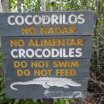 19.03.2022. Muzyczne podróże. Kostaryka / Danuta Rusała