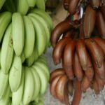 19.03.2022. Muzyczne podróże. Kostaryka / Danuta Rusała