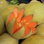 19.03.2022. Muzyczne podróże. Kostaryka / Danuta Rusała