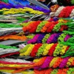 Na zdjęciu: palmy wielkanocne / mat. organizatora