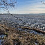 wiosna zaśnieżone śnieg / Dionizy Krawczyński / Radio Kielce