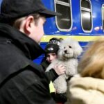 05.03.2022. Sędziszów. Żołnierze z 10. Świętokrzyskiej Brygady Obrony Terytorialnej pomagają uchodźcom z Ukrainy / ppor. Daniel Woś / 10. Świętokrzyska Brygada Obrony Terytorialnej